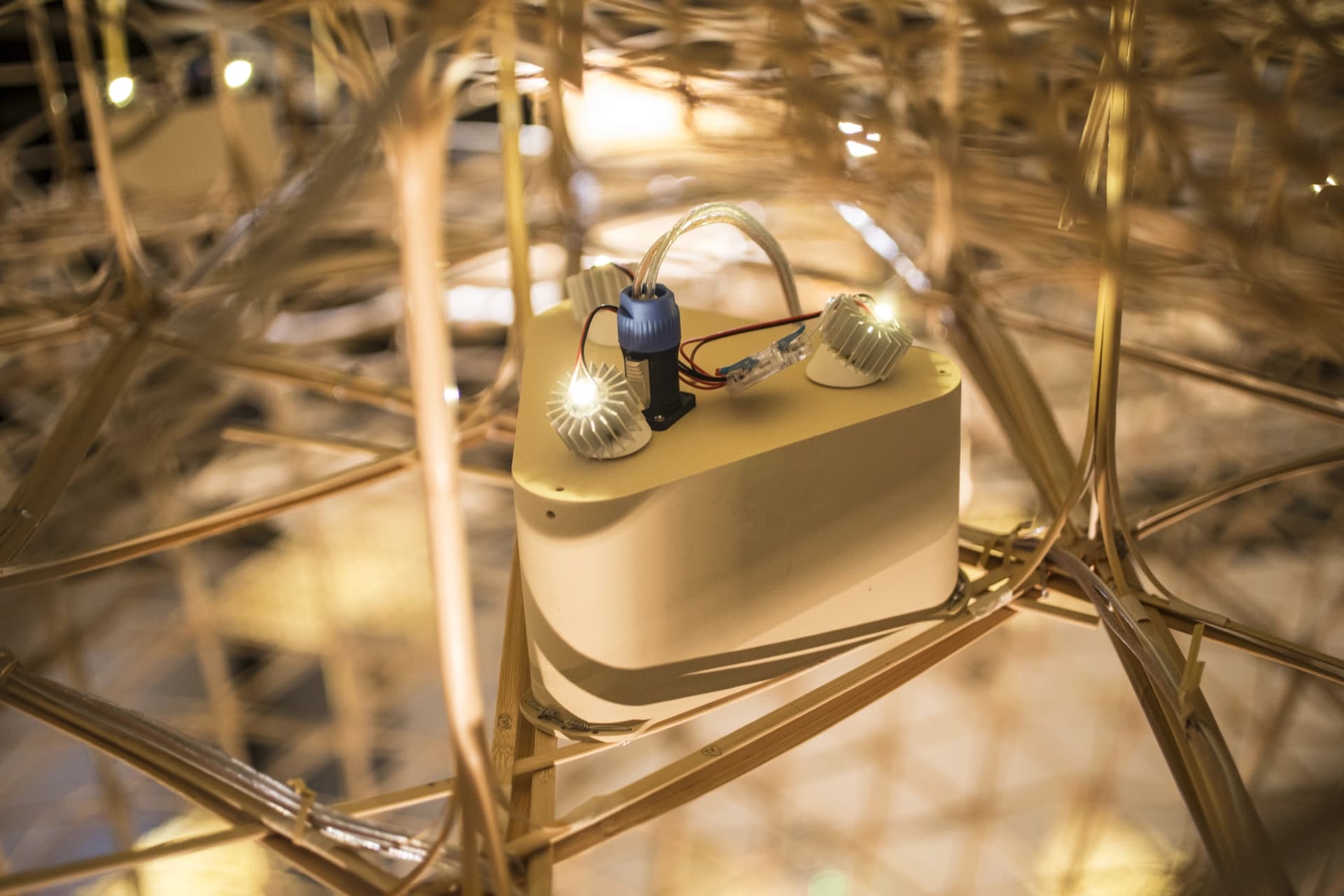 Bamboo Vault Light Gallery
