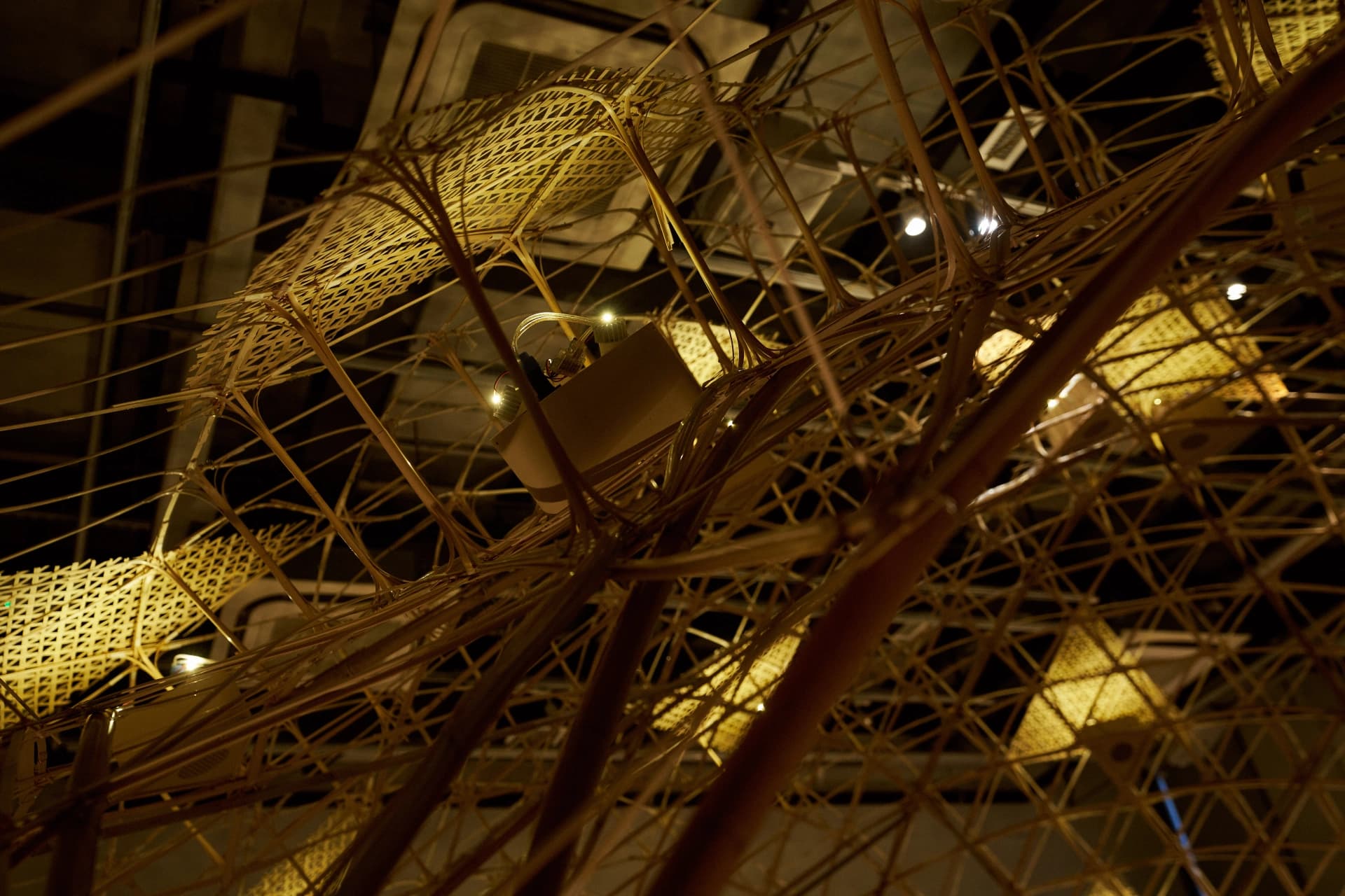 Bamboo Vault Light Gallery