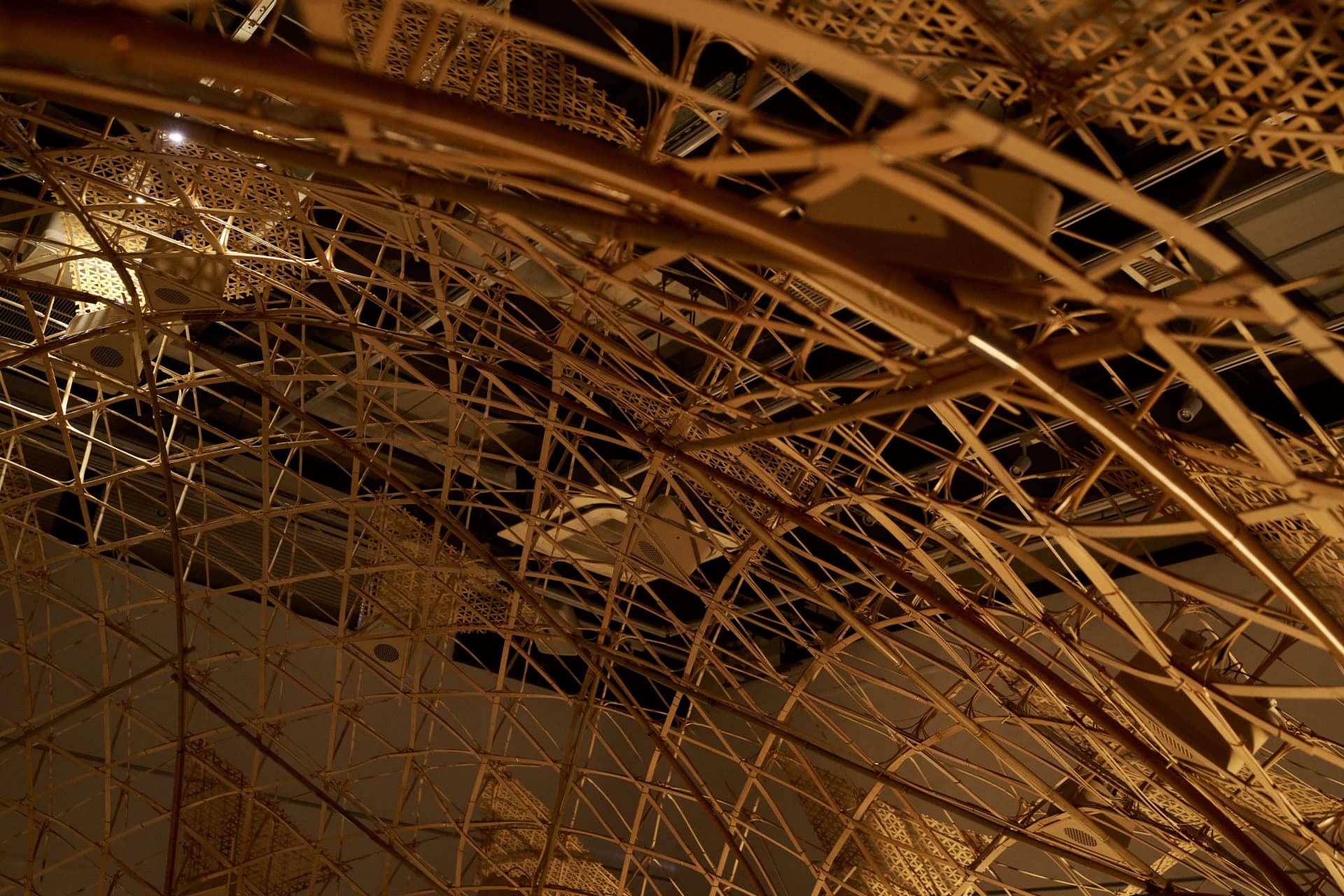 Bamboo Vault Main Gallery
