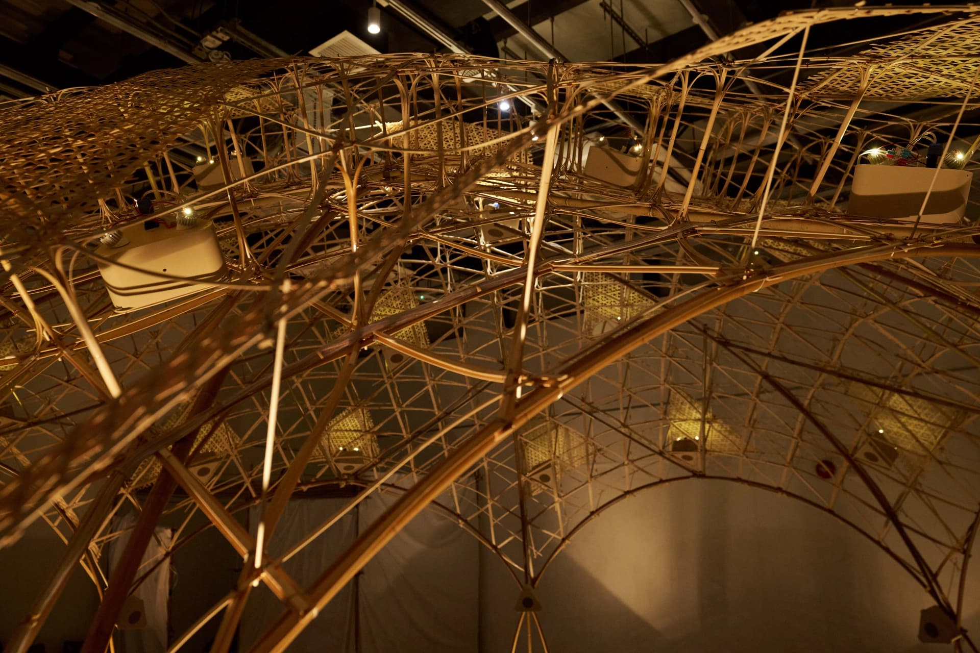 Bamboo Vault Main Gallery