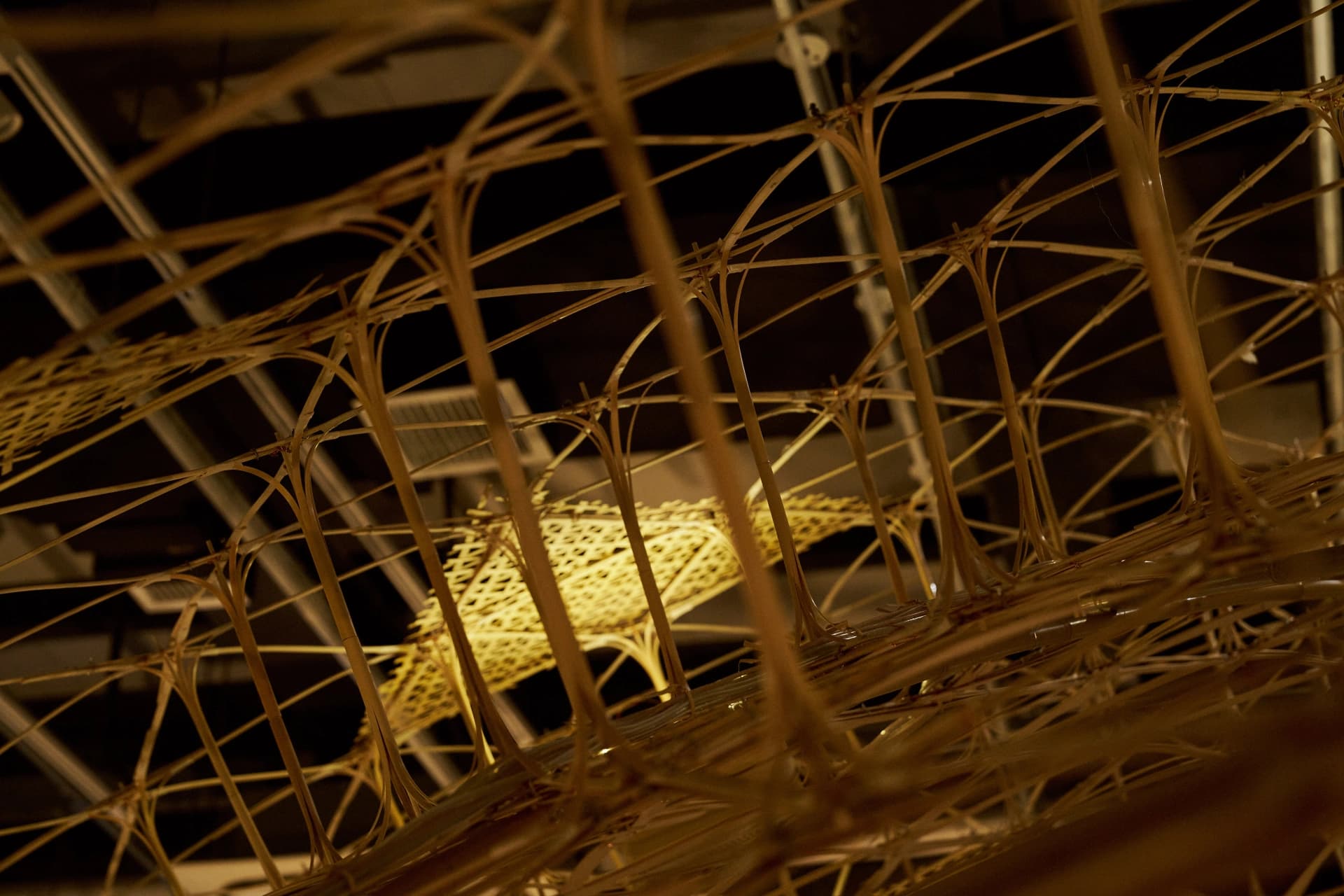 Bamboo Vault Main Gallery