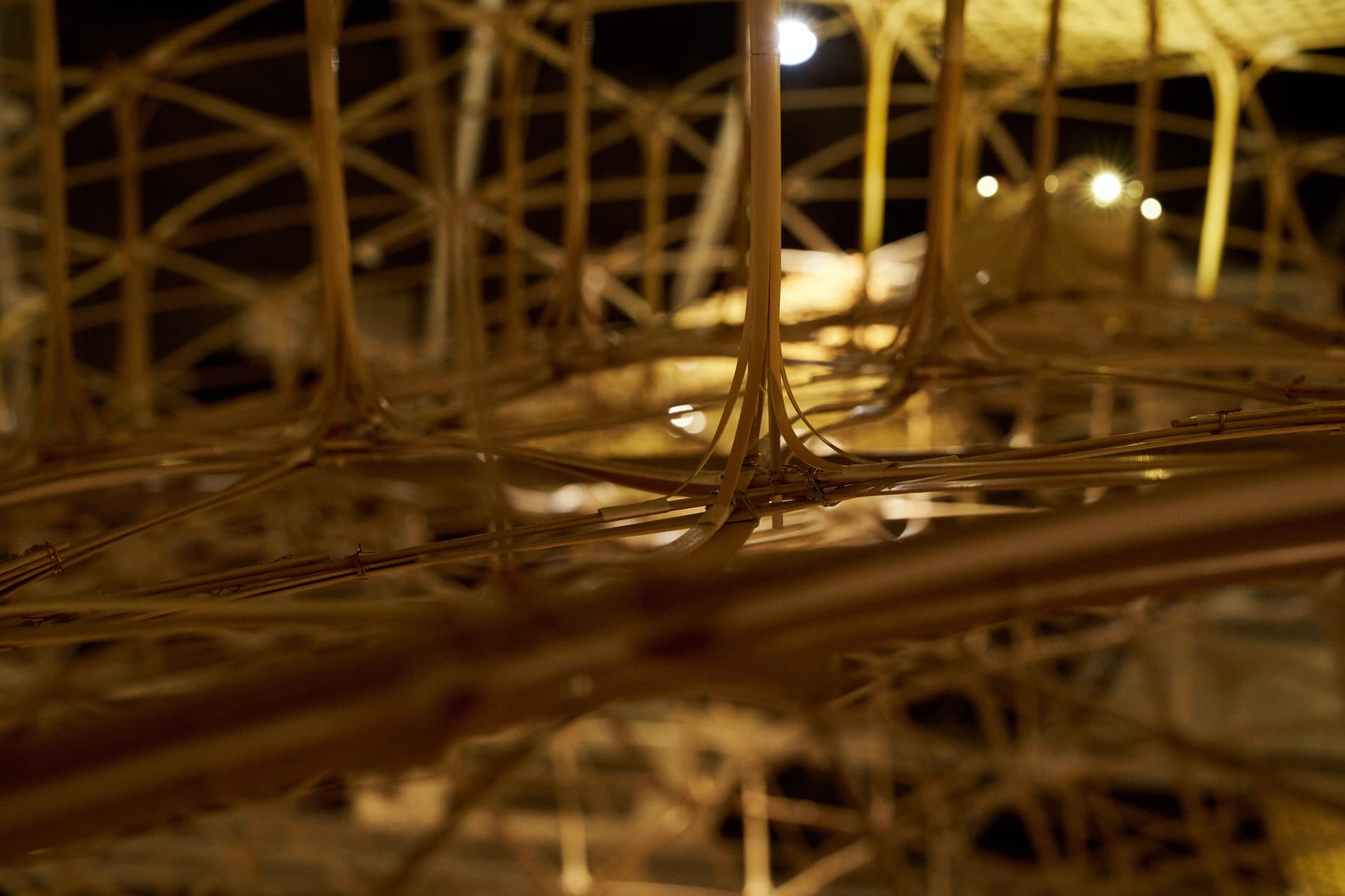 Bamboo Vault Main Gallery